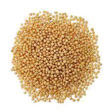 Just Ingredients Yellow Mustard Seeds 1kg RRP £25.07 CLEARANCE XL £13.99